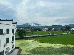 -黄牛肉馆·皖南土菜