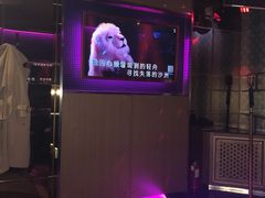 -纯K(打浦桥店)