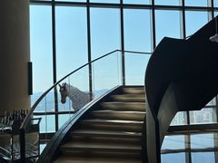 -大连君悦酒店·星海湾壹号Dalian·Dalian(星海广场店)