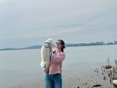 -苏州太湖国家湿地公园
