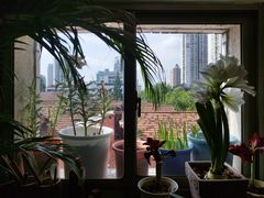 -曦辰书院·书法篆刻