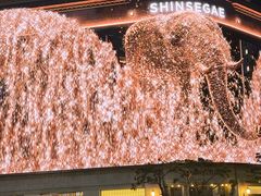 -新世界百货(明洞总店)