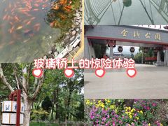 -金城公园