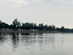-龙舟池