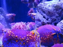 -太平洋海底世界