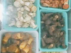 -山大王菌莊