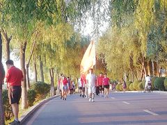 -丁香湖公园