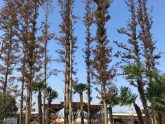 -上海长兴岛郊野公园