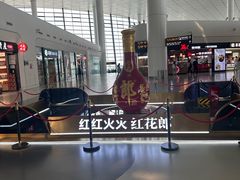 -郑州新郑国际机场-T2航站楼
