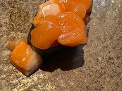 -摩打食堂(壹方中心店)