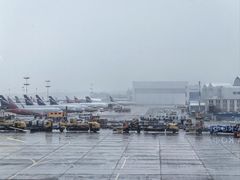 -谢列梅捷沃国际机场