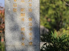 -广州神农草堂中医药博物馆