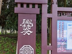-彩色沙林风景区