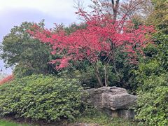 -桃花岛景观公园