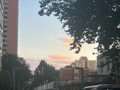 -the rug 飞毯 (朝阳公园店)