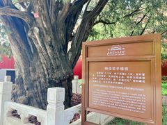 -北京市劳动人民文化宫(太庙)