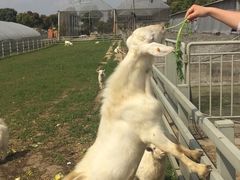 -上膳源有机农场