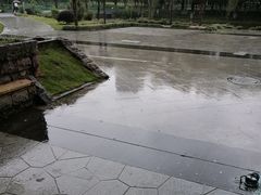 -白塘生态植物园
