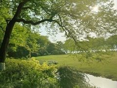 -杭州西湖柳莺里酒店·闻莺厅