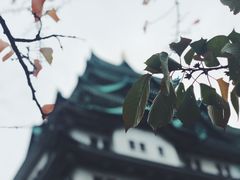 -名古屋城