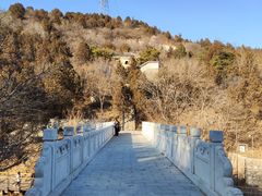 -白水寺森林公园
