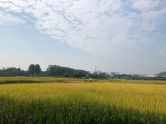 -光明小镇欢乐田园