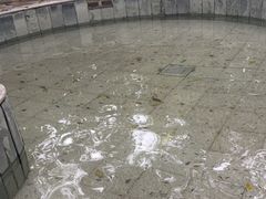 -碧水湾温泉