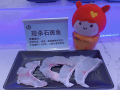 现杀石斑鱼-澜悦港海鲜体验主题餐厅