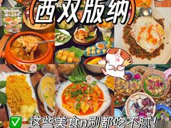 -西双版纳原始森林公园