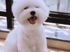 -联合动物医院(光谷诊疗中心)
