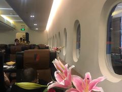 -法兰度航空主题餐厅(河源店)