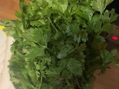 -芦月轩羊蝎子(劲松店)
