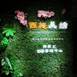 -西施无菌半永久纹绣眉眼影唇轻增发纹发际线