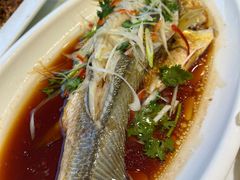 -陶然饺子城(奥体中路店)