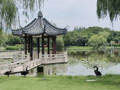 -江心屿景区