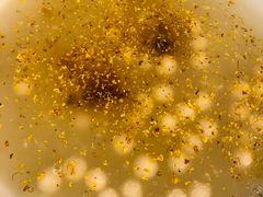 -梁溪河畔·吉府花园(南长街南下塘店)