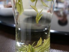 -长田漾湿地公园