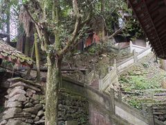 -青城山