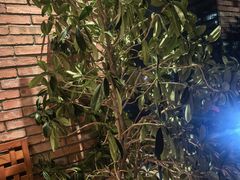 -园里火锅(仁和新城店)