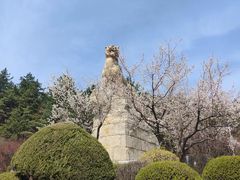 -帽儿山国家森林公园