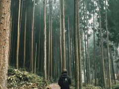 -山王坪喀斯特国家生态公园