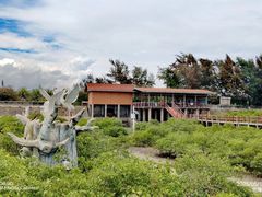 -北海金海湾红树林生态旅游区