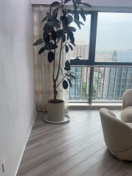 -HEYAN荷妍专业脱毛连锁机构