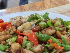 -煲来饱去冷水鱼