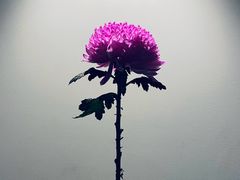 -苏州现代传媒广场商业