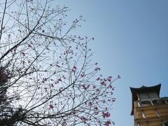 -白云山风景名胜区
