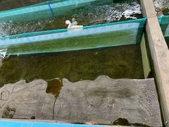 -小象钓虾·营地烧烤(洛溪店)