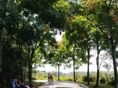 -沈阳辉山风景区