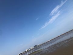 -碧海金沙