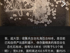 -贵州省地质博物馆